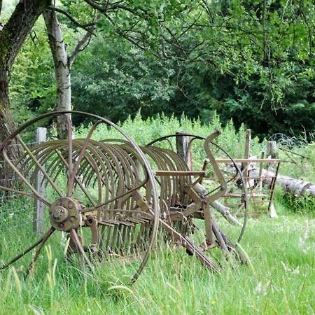 Hendre Aled Cottage 1 Llansannan Luaran gambar